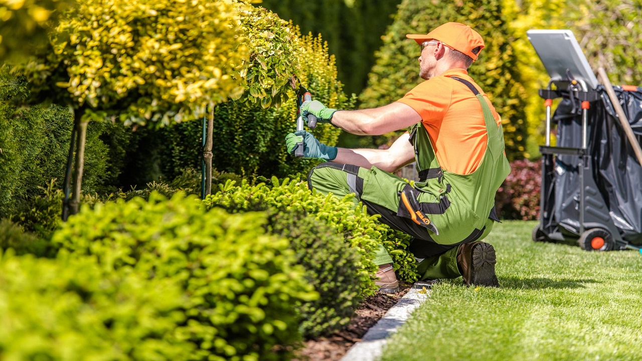 Advantages of Using Professional Garden Tools